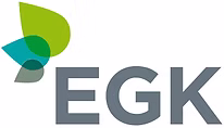 Behandlungen egk